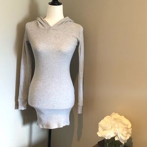 TNA Hoody Dress (Aritzia)
